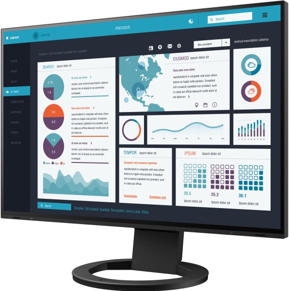 EIZO Monitor EV2495-Swiss Edition 1121400 schwarz 24.1 Zoll