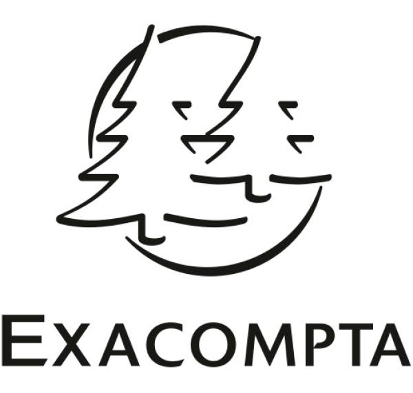 EXACOMPTA Ordnungsmappe Eterneco A4 56747E braun, ass., FSC 9-teilig