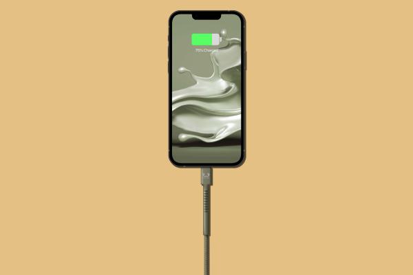 FRESH'N REBEL USB C-Lightning 2CLC200DG 2m Dried Green