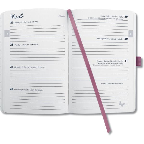 JOLIE Agenda Jungle Fever ML 2024 J4354 1W/2S, violet A6