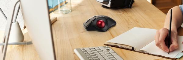 KEYSONIC Ergonomische Trackball Maus, KSM-6101RF-EGT DPI Einstellung, Grau