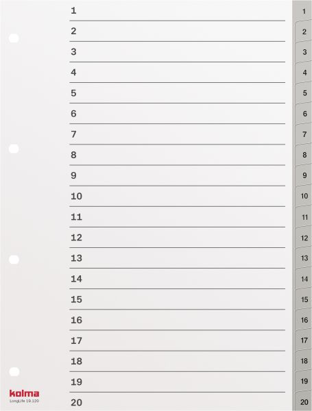 KOLMA Register Longlife A4 19.120.03 grau, 20-teilig