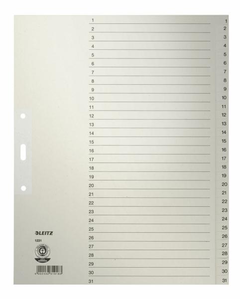 LEITZ Register Tauenpapier A4 1231-00-85 1-31 31-teilig