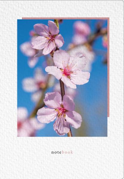 NATUR VERLAG Notizbuch Crushpaper A5 11018N Mandel Foto, dotted