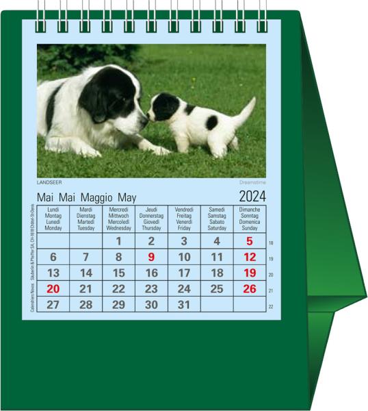 NOVOS Tischkalender Natura 2024 997083 dunkelgrün, 1M/S, 11.5x13.5cm