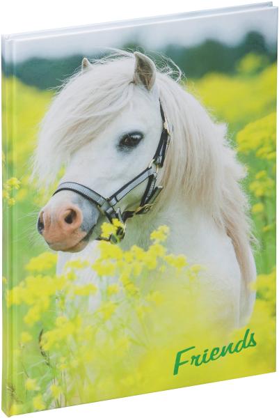 PAGNA Freundebuch 20346-15 kleines Pony 60S