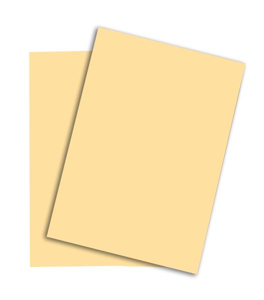 PAPYRUS Rainbow Papier FSC A4 88042250 hellchamois, 80g 500 Blatt