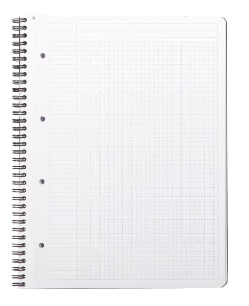 RHODIA Greenbook Notizbuch A4 119912C kariert 90g 160 S.