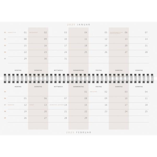 RIDOIDE Pultkalender Design Line 2025 036311025.25 1W/2S Explore DE 29.7x10.5cm