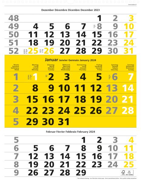 SIMPLEX 3-Monats-Wandkalender 2024 970008.24 310x400mm,gelb,3M/1S