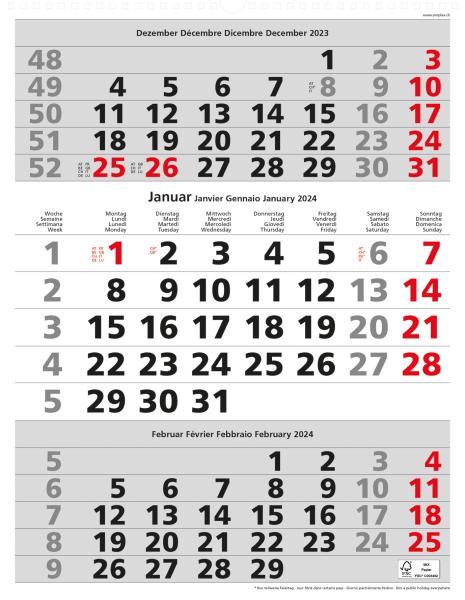 SIMPLEX 3-Monats-Wandkalender 2024 970009.24 310x400mm,rot,3M/1S