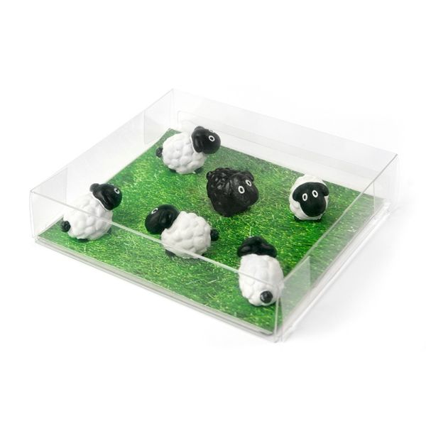 TRENDFORM Magnete SHEEP FA3737 6er Set assortiert