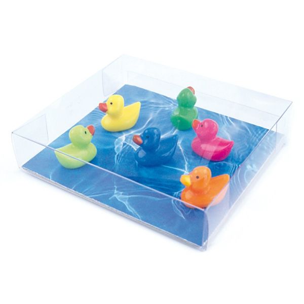 TRENDFORM Magnete DUCK FW3526 6er Set assortiert