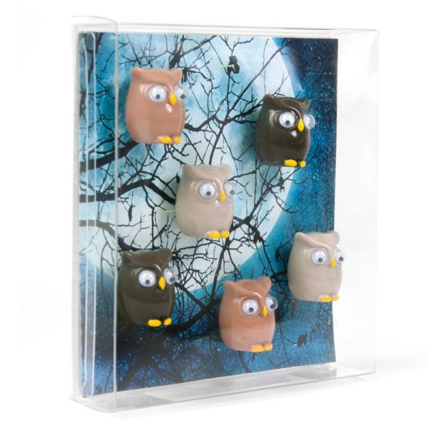 TRENDFORM Magnete OWL FW3542 6er Set assortiert