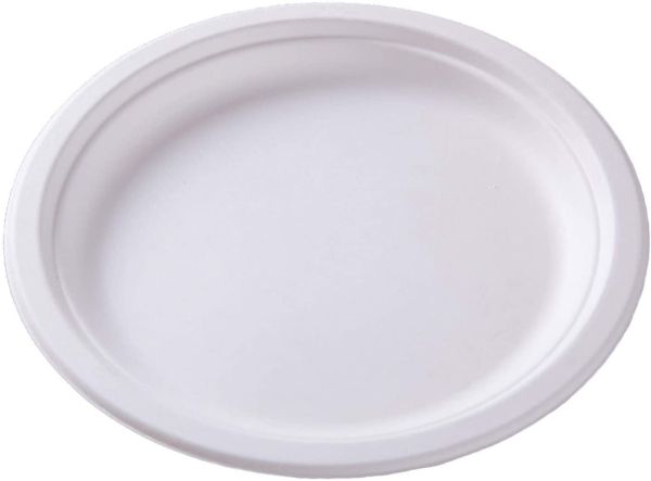 WEBSTAR Menuteller oval 26cm 26641 weiss, Bagasse 50 Stück