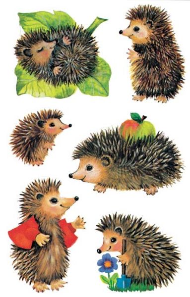 Z-DESIGN Sticker Kids 4306 Igel 3 Stück