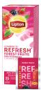 LIPTON Forest Fruit Tea 159951 25 Beutel