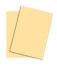 PAPYRUS Rainbow Papier FSC A4 88042276 80g, chamois 500 Blatt