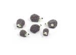 TRENDFORM Magnete HEDGEHOG FA4588 6er Set grau