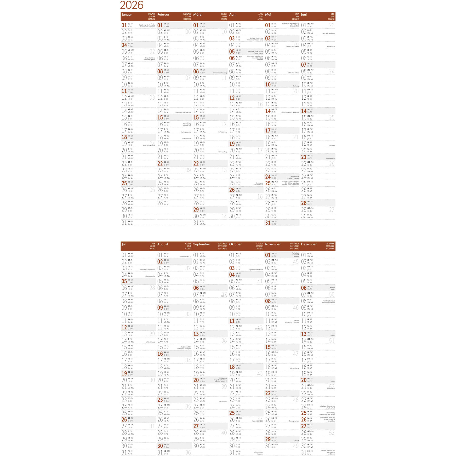 ACKERMANN Bildkalender 2026 4624 Eulen ML 30x30cm