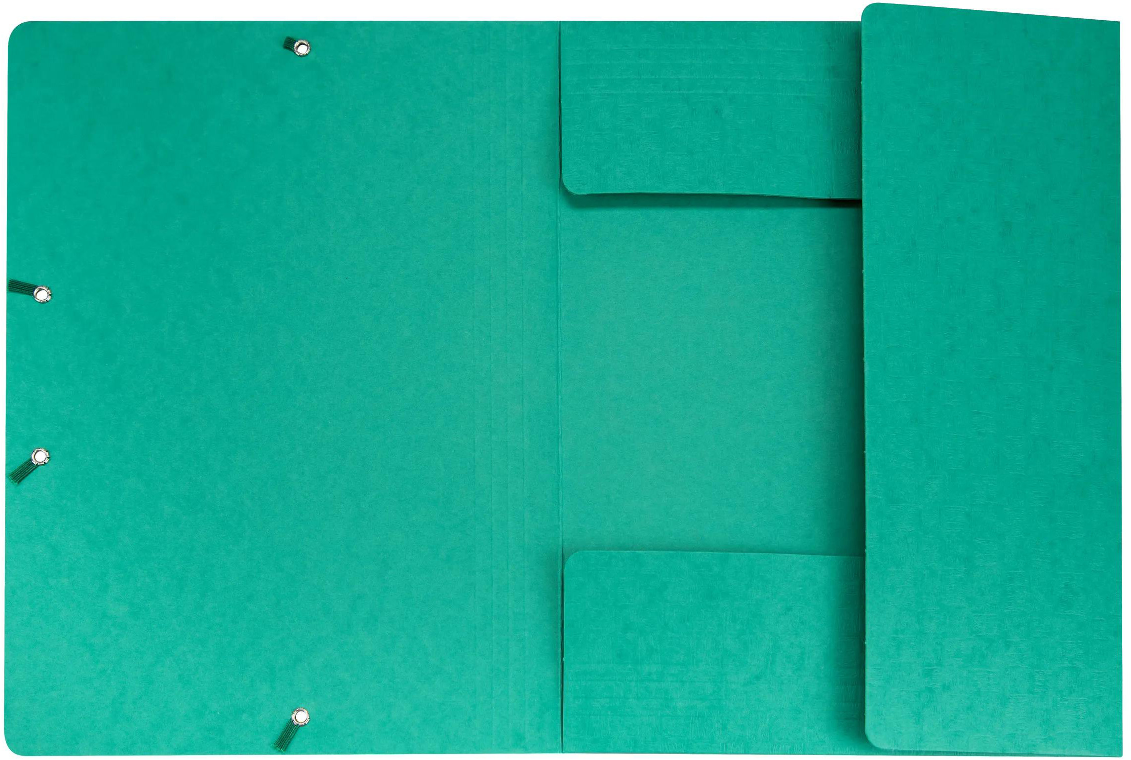 BIELLA Gummibandmappe A4 17840030U grün, 590gm2 220 Bl.