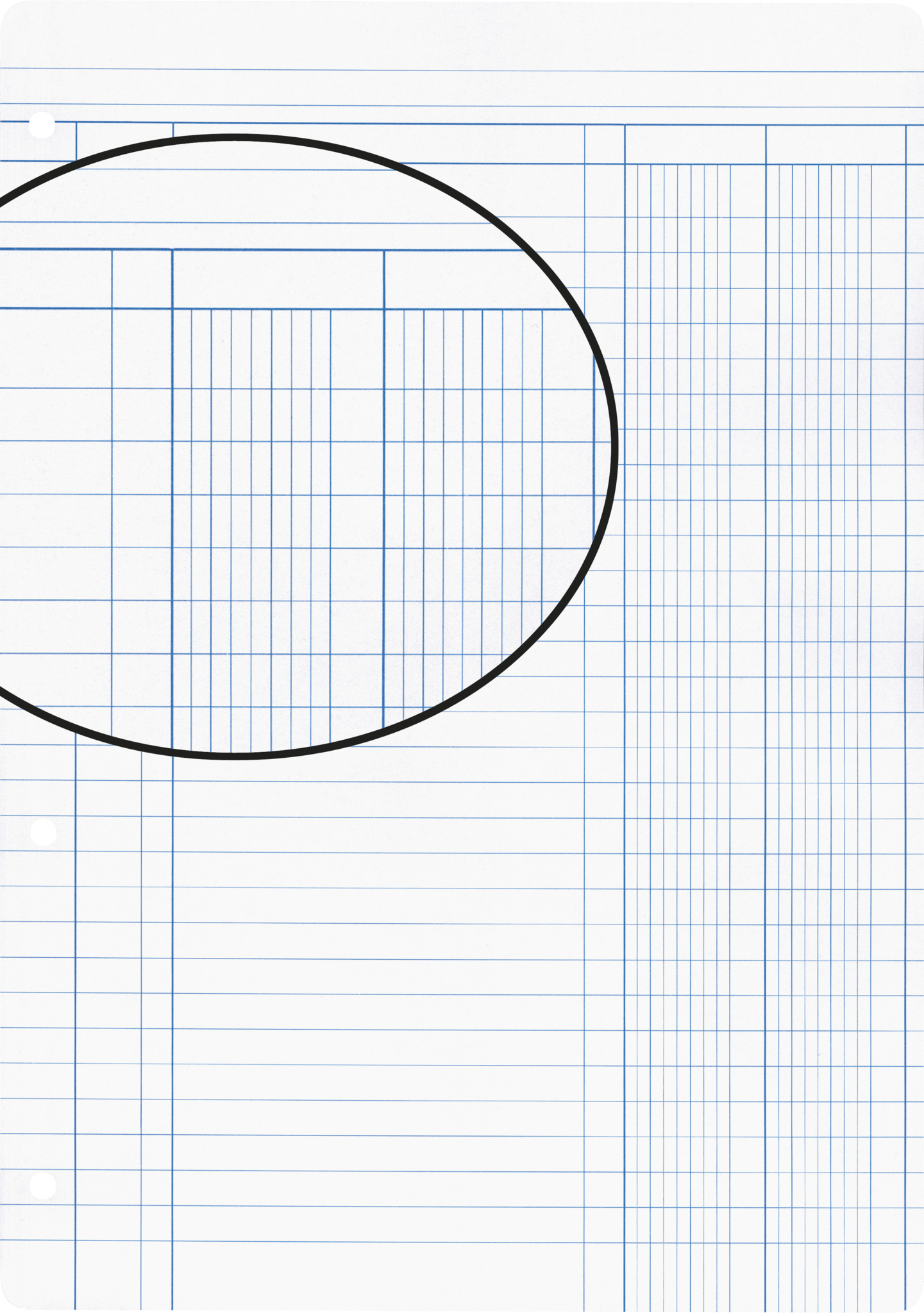 BIELLA Einlageblätter A4 45044900U weiss,Lineatur 9,4-Loch 100Bl.