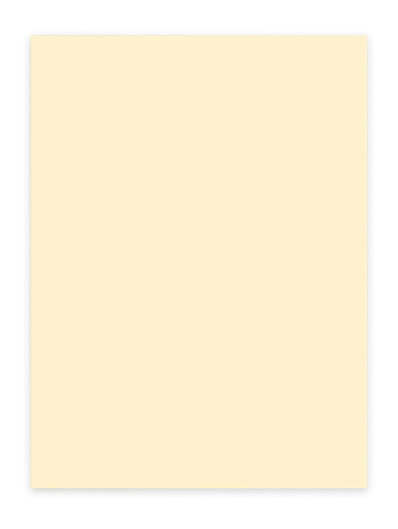 ELCO Büropapier Color A4 74616.41 80g, hellchamois 100 Blatt