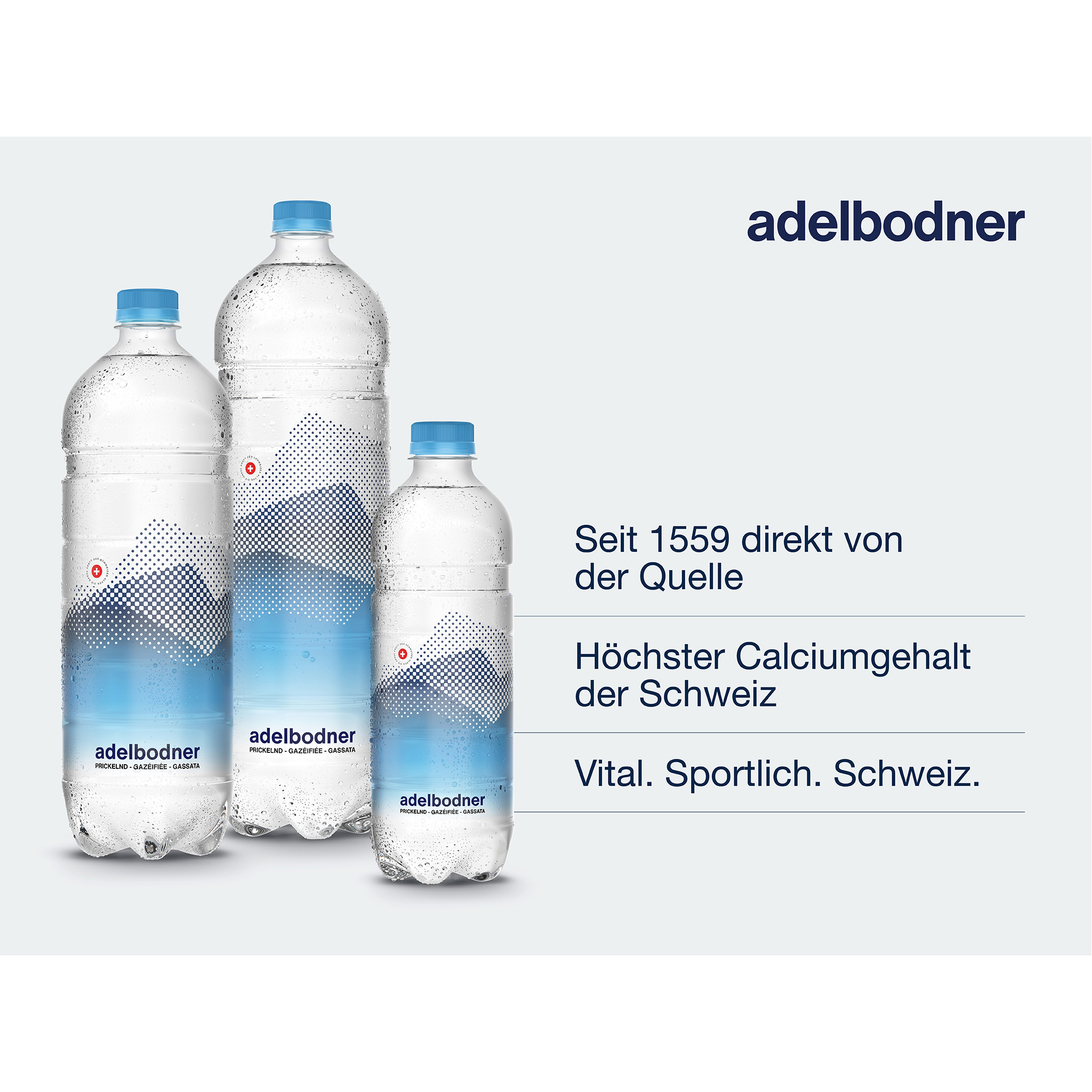 ADELBODNER mit Kohlensäure 100054 100 cl, 6 Stk.