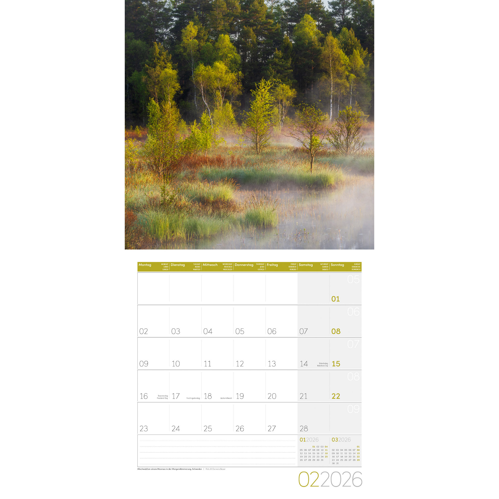ACKERMANN Bildkalender 2026 4611 Zauber des Waldes ML 30x30cm