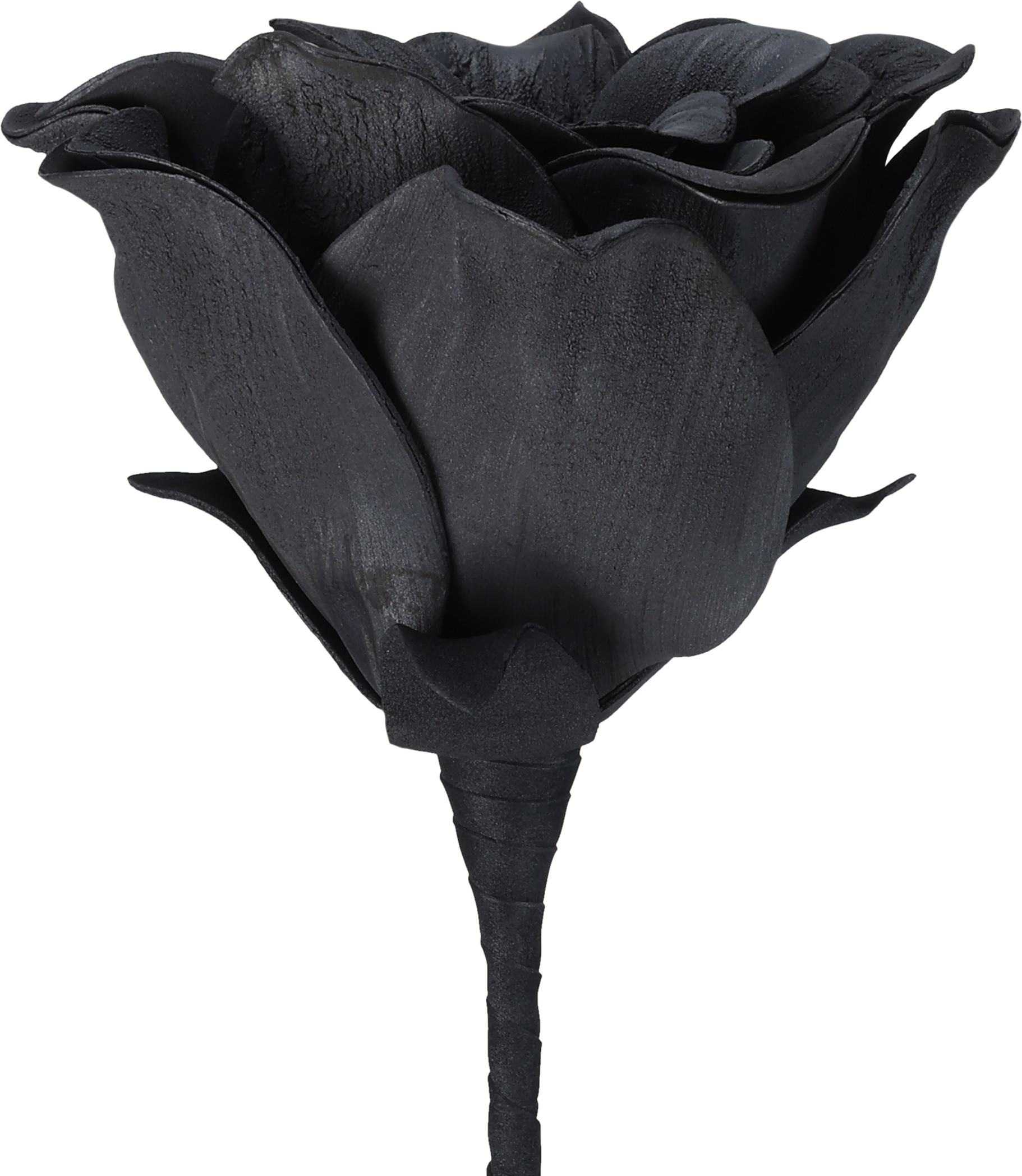 EGLO Kunstblume MOLAVE 428131 schwarz