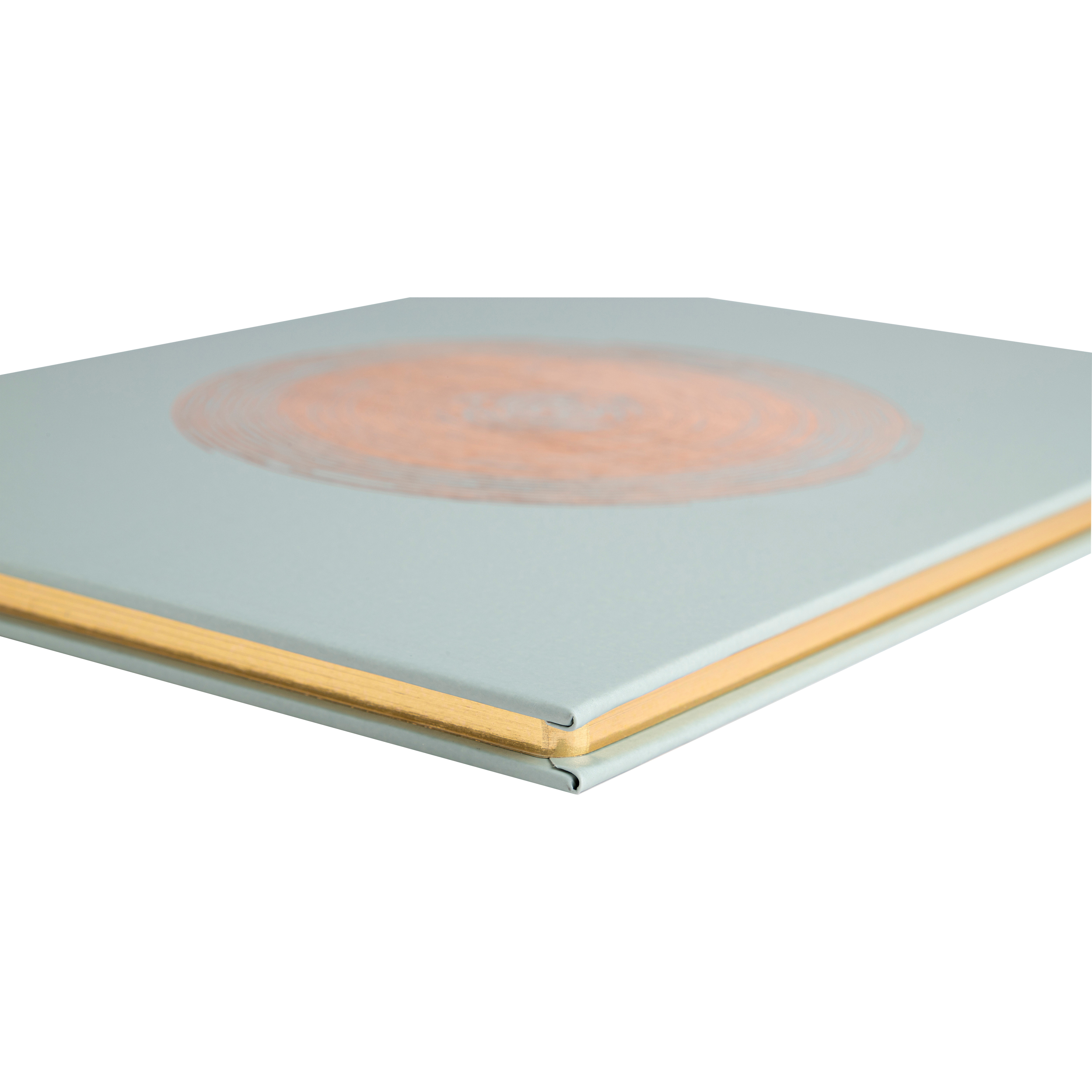 EXACOMPTA Gästebuch Ellipse 27x22cm 47982E grün 100 Seiten